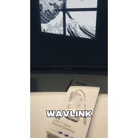 WAVLINK USB C Laptop Docking Station 12-in-1 Hub Triple Display Dual HDMI VGA PD