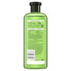 Herbal Essences Bio:renew Potent Aloe + Avocado Oil Hair &