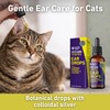 Nature's Greatest Secret Ear Drops for Cats 30ml | Colloidal
