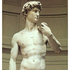 Akindou Home Museum Plaster-like Sculpture Series - Durable, Scratch-resistant, Made of Hard Resin, No Dust (Bust 15cm David)