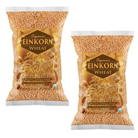 Einkorn Wheat - 100% Certified Organic Einkorn Whole Wheat Grain by PowerGrow System - Use for Sourdough Baking, Milling Flour, Cereal, Salads, Pasta etc. (Einkorn Wheat (10 Pounds))