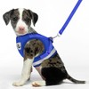 Cat Harness, Collar, For Dogs & Cats, Small Dogs, Rabbits,