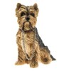 Leonardo Collection The LP08282 Sitting Yorkshire Terrier Walkies Dog Studies,