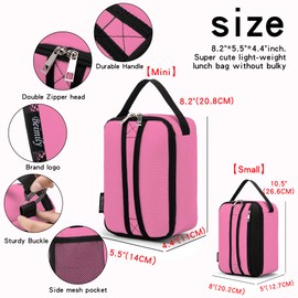 BEIMILY Lunch Box for Men Women Adults,Mini Insulated Lunch Bag for Office Work Picnic,Reusable Portable Lunchbox,Soft Cooler Tote Bag,6 can cooler bag,Mini,Pink