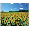 CHAMBERART 1000 Piece Premium Jigsaw Puzzle Shepherd Jesus Christ 2