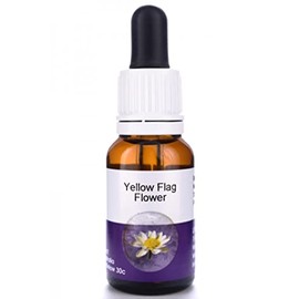 Living Essences Yellow Flag Flower Essence 50 ml