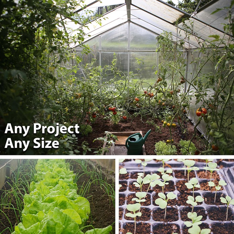 3 Brassica Classic Trio Cover Crop 4 Oz ~1,089 Seeds