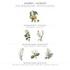 Panier Des Sens Hand Cream Precious Jasmine 75ML (2.6 fl.oz.)