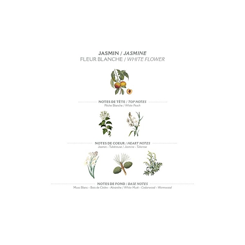 Panier Des Sens Hand Cream Precious Jasmine 75ML (2.6 fl.oz.)