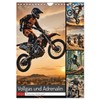 Full Throttle and Adrenaline - Motocross Action Pure (Wall Calendar
