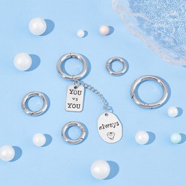 UNICRAFTALE Pack of 5 Carabiner Rings 304 Stainless Steel Snap Clasps 10 ~ 20 mm Inner Round Carabiner Hook Key Ring Spring Gate Rings for Bags Purses Shoulder Strap Key Ring