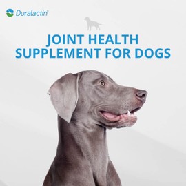 PRN PRN Pharmacal Duralactin Canine Joint Plus - Joint Health Supplement for Dogs & Puppies to Support Healthy Cartilage Levels & Joint Function While Helping Manage Soreness - 90 Soft Chews