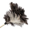 Boardwalk 23FD Professional Ostrich Feather Duster 13-Inch Handle