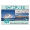 Crazy Novelty Guy (25-Pack) Bulk Prank Postcards - Gay Cruise
