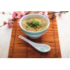 World Of Flavours Oriental Spoons