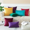 OTOSTAR Velvet Soft Solid Decorative Throw Pillow Covers 12 x