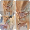 RUMYPET Rose Gold Chain Dog Collar 10MM/14MM Cuban Link Dog