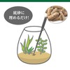 GEX MeGreen Bottom Sand Nutrition Pellet for Growing Aquatic Plants,