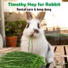 Fhiny Timothy Hay for Rabbit, 3.3LB Hand-Selected Premium Natural Timothy