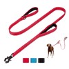 Aepeasti Dog Leash for Medium to Large Dogs with Two