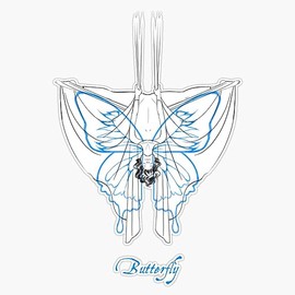 Aerial Silks - Butterfly Bumper Sticker Vinyl Decal 5"