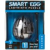 TECHNO 1-Layer Smart Egg Labyrinth Puzzle