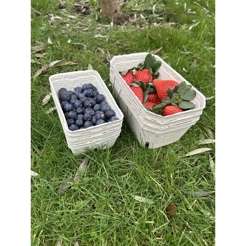 Bramley & Sage 500g Biodegradable Fibre Fruit Punnets (Various Quantities)