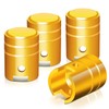 Auto Dynasty Tire Valve Stem Caps 4 Pieces 15mm Piston