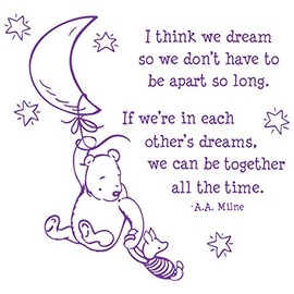 24"x24" I Think We Dream So We Don't Have to Be Apart So Long If We're in Each Other's Dreams We Can Be Together All The Time Winnie The Pooh Wall Decal Sticker Color Choices