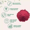 Micro Ingredients Organic Beet Root Powder 4 Pounds Cold Pressed