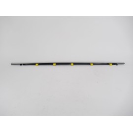 Honda Genuine MOLDING, R- RR- Door