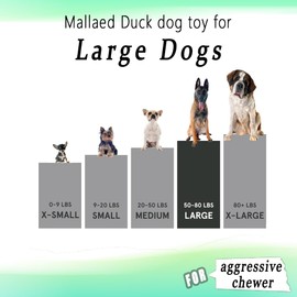 OUANGANC Plush Mallard Duck Dog Toy, Squeaky Mallard Stuffed Pet Toy, Dog Toys to Keep Them Busy for Puppy Teething Chewing， Green and Gray