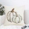 SHAPTOY Fall Autumn White Pumpkin Throw Pillow Covers 16x16 Inch