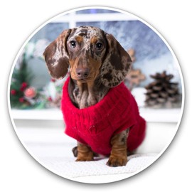 2 x Heart Stickers 10 cm - Dachshund Puppy in Red Jumper Fun Decals for Laptops,Tablets,Luggage,Scrap Booking,Fridges #16284