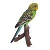 Green Budgerigar