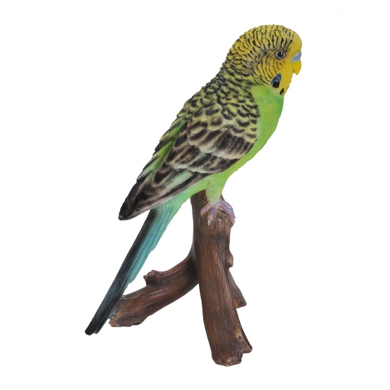 Green Budgerigar