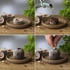 FLORTUS Coconut Source Pots Made of Potting Soil with Nutrients
