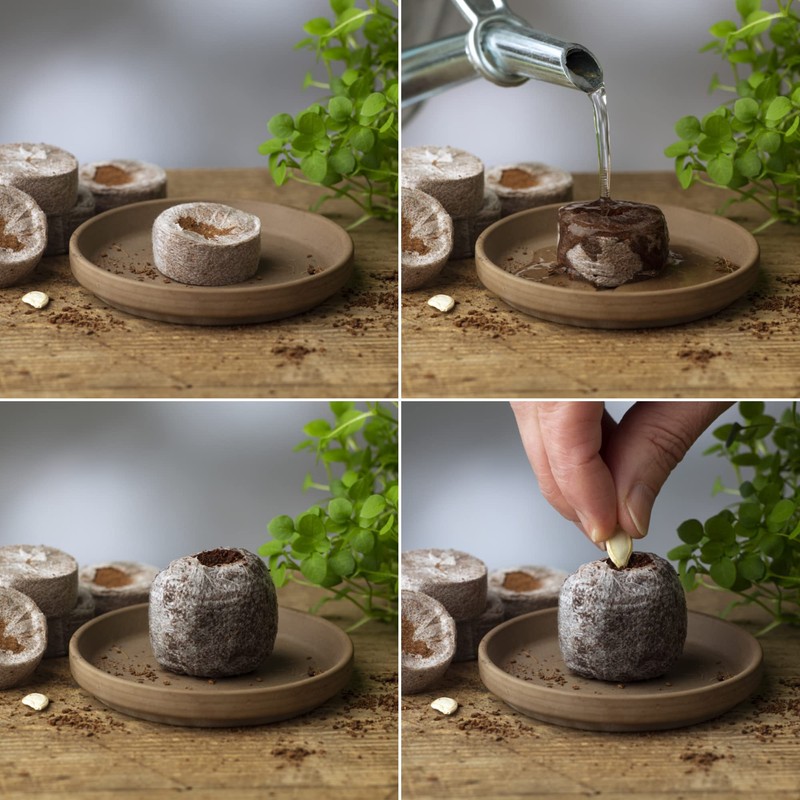 FLORTUS Coconut Source Pots Made of Potting Soil with Nutrients
