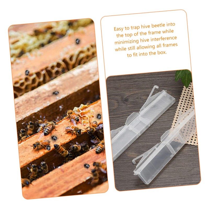 CIYODO 6pcs Clear Reusable Hive Beetle Traps Baitable Beetle Collecting