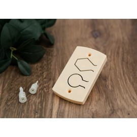 Exact Fit Two Button Cover Plate - Fits Wayne Dalton Garage Door Wall Station 309961 and 3976 Remote Opener, Inside Control Unit