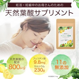 Pharmaceutical Company Folic Acid Supplement, Gentle Folic Acid Supplement, Folic Acid, Natural Folic Acid, Additive-Free, 27.2 fl oz (800 μg), Ferritine Iron, For Pregnancy, 1 Month Supply