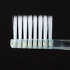 Systemaha Brush Straight Compact Regular Compact Straight Handle, 1 Piece