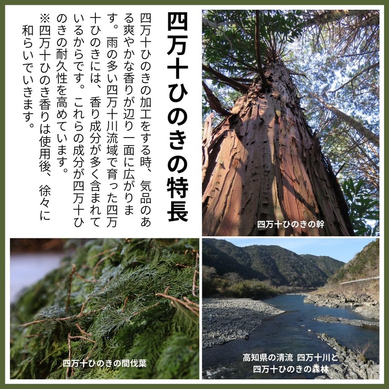 Tosa Ryu HC-2501 Round Cypress Cutting Board (M) TOSARYU SHIMANTO