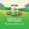 Natures Craft Gomitas Probióticas Orgánicas Niños Veganas Omg Inmunidad Salud