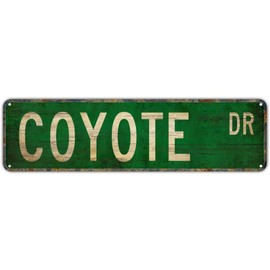 Vintage Decor Wall Signs Coyote Coyote Gift Coyote Sign Coyote Decor Coyote Expert Tin Metal Street Sign Lane Avenue Street Way Green 16X4 inches