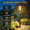 Bright Solar Pathway Lights Outdoor, 2 Pack Upgraded Solar Powered