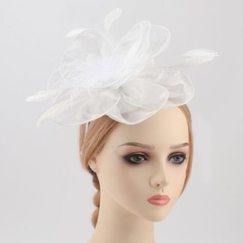 Fascinators Hats for Women Flower Mesh Ribbons Feathers Tea Party Headwear and Clip Kentucky Derby Hats for Women Girl