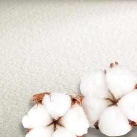 Hahnemühle Collection 100 Percent Cotton Watercolor 22x30 140LB / 300gsm Cold Press (10 Sheets)