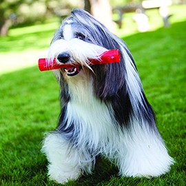 KONG Squeezz Ball Juguete para Perro, Mediano, Colores Variados