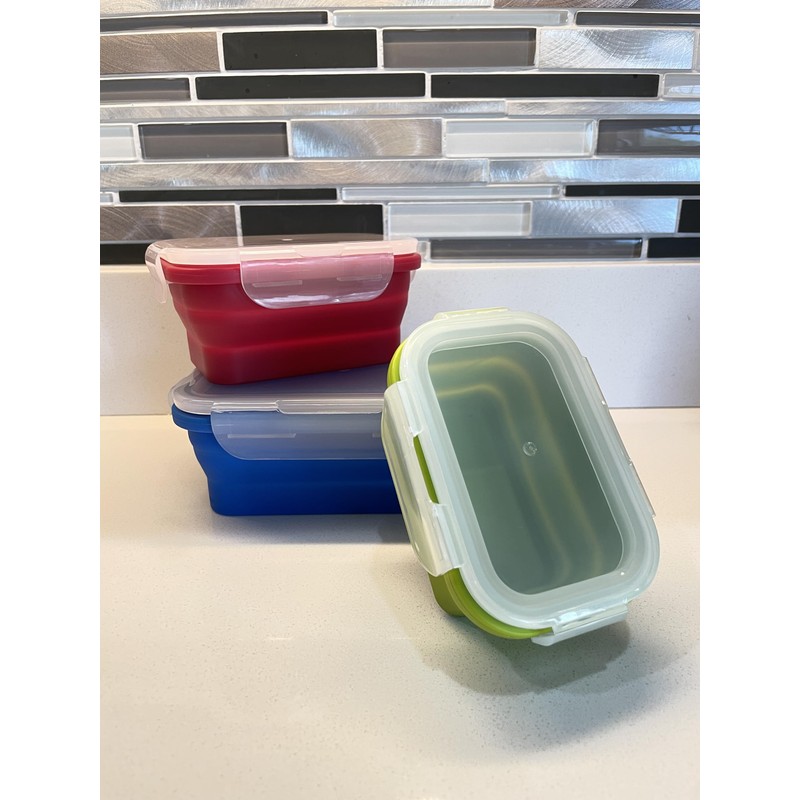 Roaming Cooking Collapsible Silicone Food Storage Container Combo pack (Multi